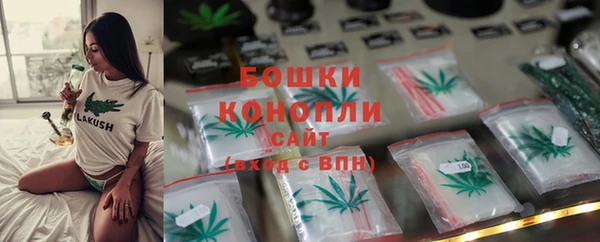 2c-b Бородино
