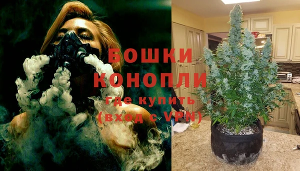 2c-b Бородино