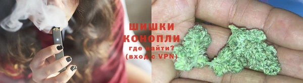 2c-b Бородино