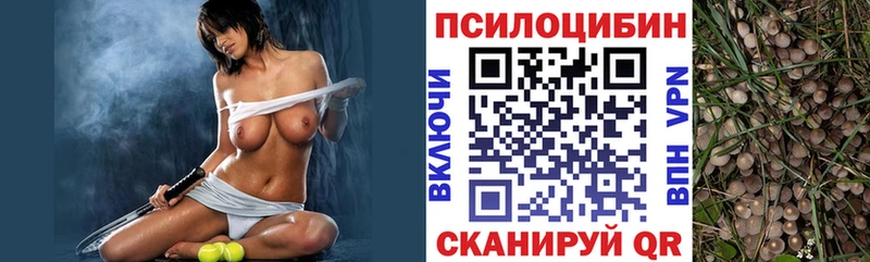 Галлюциногенные грибы GOLDEN TEACHER  Долгопрудный 
